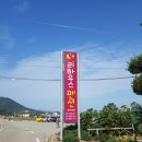 소나무펜션형민박 | 완도 신지도 리하우스 펜션 민박 / 반려동물 동반 여행