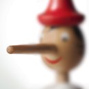 D00876 | 정치인들의 거짓말에 대하여