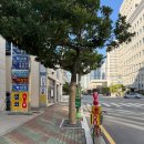 경남빌딩 | 채무탕감 뜻 조회 신청조건 관련 제도, 부산 경남 개인회생 무료상담후기