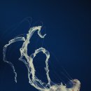 방배로23길 26 이미지