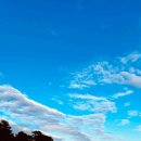 통영서커스 | [거제도 아이랑 가볼만한곳] 팡팡카트장 &amp; 서바이벌 후기