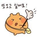 거부장정육점