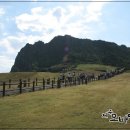 제주동양콘도미니엄 이미지