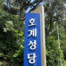 호계성당입구 | 울산북구 분위기 좋은 카페 카페드솔 방문 후기 | 울산호계카페 추천