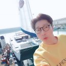대도안경
