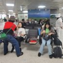 타악(고고장구) 이미지