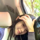 따자하오 이미지