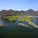 양지세천 이미지