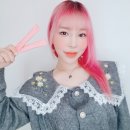 모링가식품카페