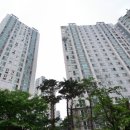 답십리백화점약국 매일경제