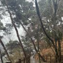 송해공원 제1주차장 이미지