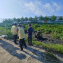 경북수지 이미지