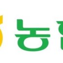 춘천시민버스노동조합 이미지