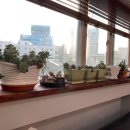 베스트빈커피 이미지