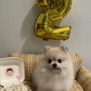 육일군 수라간 이미지