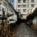 안집추어탕 이미지