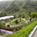 자매목장 이미지