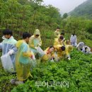 초록숲민박 이미지