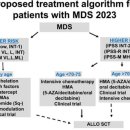 골수이형성 증후군 최신논문과 호전 사례... 이미지