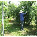 주산면사무소 이미지