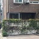 도치피자 강변 | 강변역 내돈내산 맛집 화덕피자 도치피자