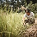 양성모농장 이미지