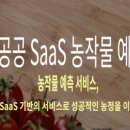 지디에스컨설팅 이미지