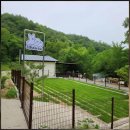 두리펜션 | 횡성 초롱이와두리펜션 평창 트립닷컴 특가 적용받기 트립닷컴 최저가 예약하기