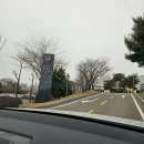 탈북민 지원 문인화전 | 안산 단원 김홍도미술관 관람후기