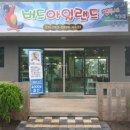 버드아일랜드