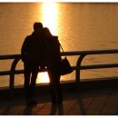 라노비아 이미지