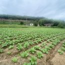 (주)골드그린환경 이미지