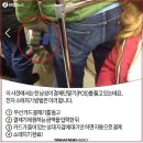 안녕하십니까