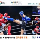 태장청학무에타이