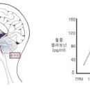 새천년건강약국 이미지