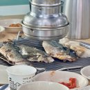 가을동화 | 속초 생선구이 맛집 ‘갯배가을동화’ 솔직 방문 후기 – 바삭하고 촉촉했던 한 끼