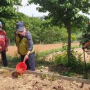 홍성군치매안심센터 이미지