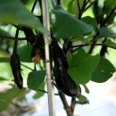 수곤농장 이미지