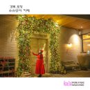 카페25 - 충주시 | 카페25