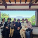 제주기사 이미지