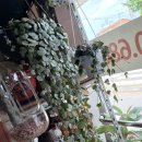 꽃수레화원 이미지