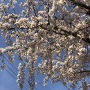 홍릉가스충전소 SK 이미지