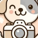 멍멍이간식팔고양