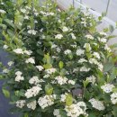 은현농장 이미지