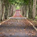 군산미장초등학교 이미지