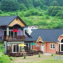 양평 비발디 펜션 이미지