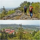 초동농장영농조합법인 이미지