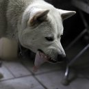 굿모닝세차장 이미지