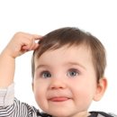 삼진행정사사무소 이미지