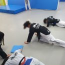 석사 경희대 효 태권도 이미지